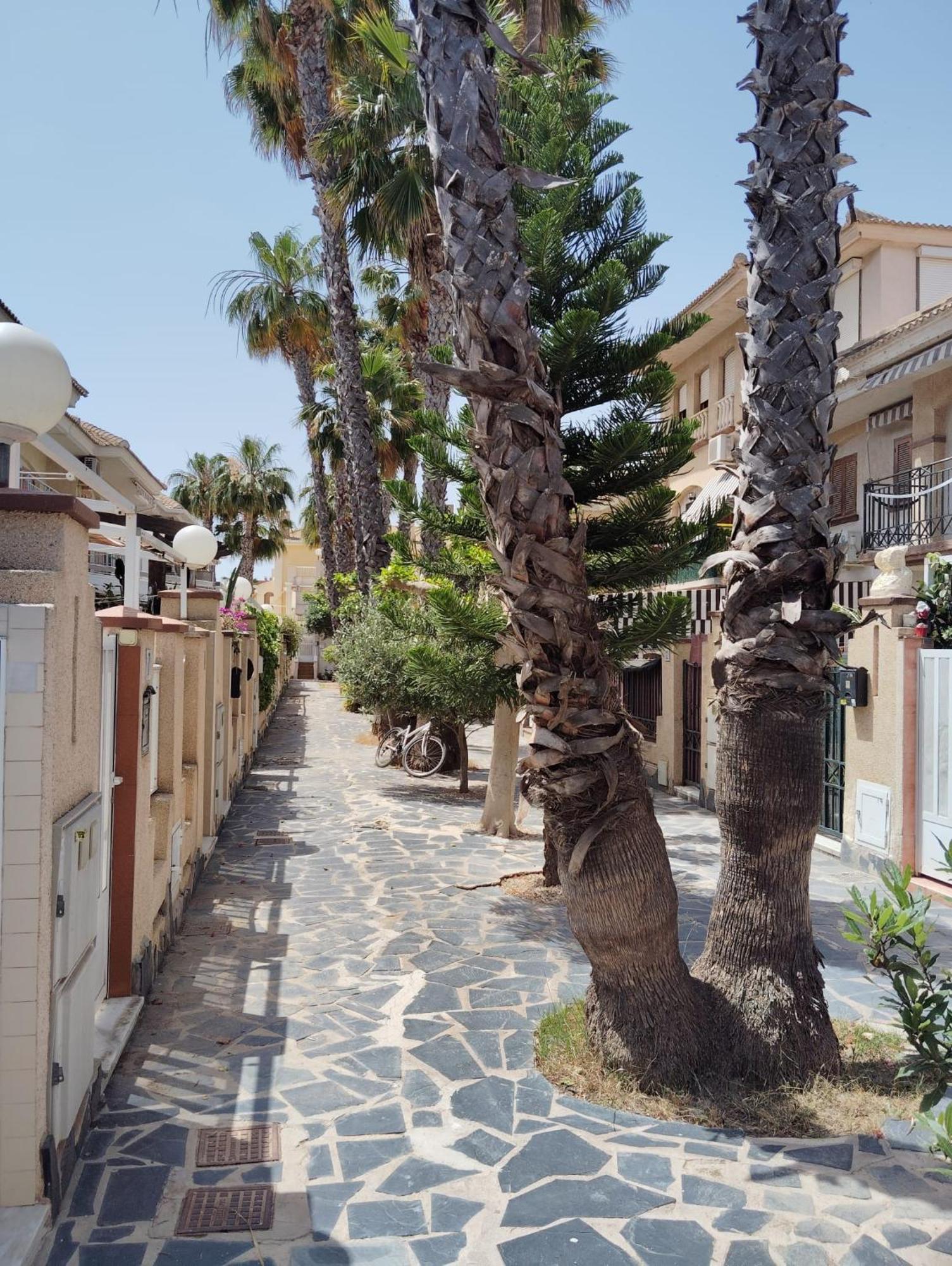 Casa Playa Lisa Daire Santa Pola Dış mekan fotoğraf